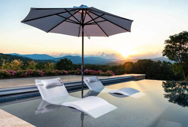 Pool Lounge Chair (ledge Lounger)
